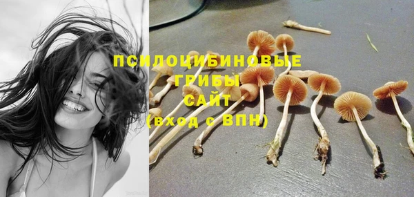 мет Михайлов